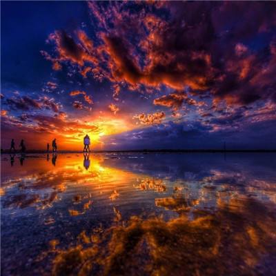 非人类生活正常度大测试